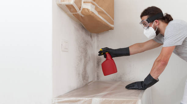 Professional Bathroom Mold Removal technician working in Diggs, VA
