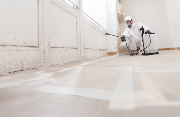 24/7 Emergency Bathroom Mold Removal experts in Diggs, VA